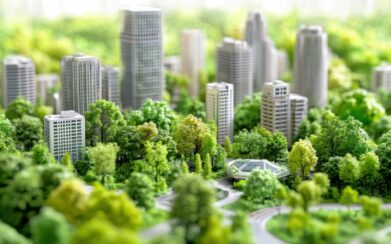 Sustainability Buzzwords