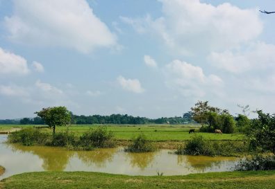Pond with murky discharge water