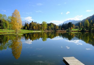 Photo of clear lake and trees